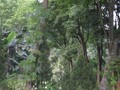 金山溫泉農地