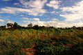 桃園機場捷運線環北站稀有農地 桃園機場捷運線環北站稀有農地