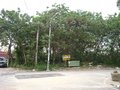 龜山文化段建地 龜山文化段建地
