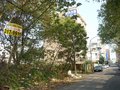 龜山文化段△窗建地 龜山文化段△窗建地