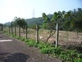 龜山鄉忠義路正路邊農地 龜山鄉忠義路正路邊農地