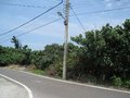 大園美建地-