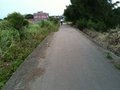 觀音坑尾段農地-