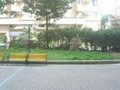 龍鳳辦公-桃園縣桃園市龍鳳三街 XX號1F