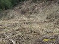 新竹五峰-花園段農地-五鋒鄉花園段