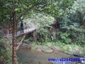 關西休閒溪畔地-生態保育溪畔地