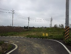 本月之星