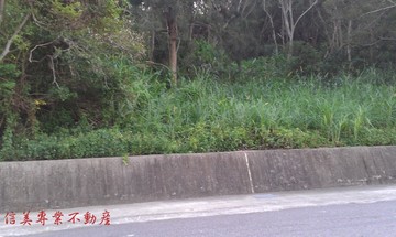 苑裡交流道旁田地-苗栗