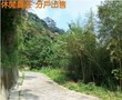 JCA99091702-休閒農莊-山中傳奇 