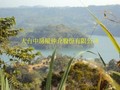 秀色可餐美景一覽無遺-鯉魚潭景觀休閒地
