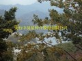 美麗的平原休閒觀光-美麗心卓蘭情鎮西坪