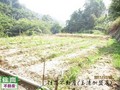 大湖美地-