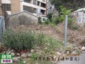 明星學區建地-