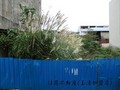 文教區建地-