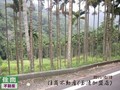 山林景觀民宿區林地-苗栗縣公館鄉
