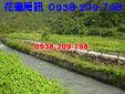 陽光.綠野.歡樂多.....
