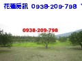 鳳凰高瓦地