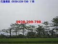 土地 - 2010游花莲....