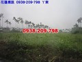 ㄚ爸的後花園........
