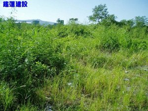光華建地(丁建)-花蓮