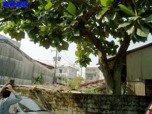 仁里建地-