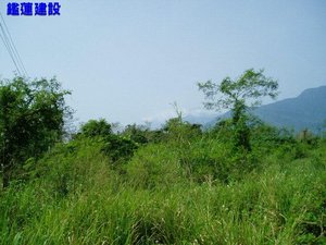 慈濟醫院-