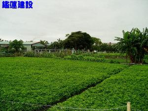 監理站旁農地-近市區