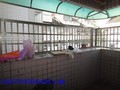 市區華廈~有大陽台-花蓮縣花蓮市