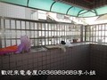 市區華夏-花蓮縣花蓮市