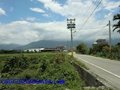 東里農地~臨路-土地方正
