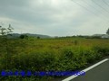 後站~~農地-800坪極佳