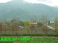 稻香..美麗家園量身訂作-花蓮縣花蓮市