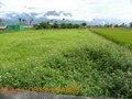 南埔農地~757坪-地段佳~~