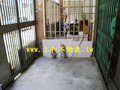 N0115國風學區透天-花蓮縣花蓮市