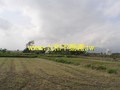 F0170吉安農地-