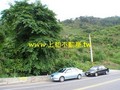 F0333壽豐農地-