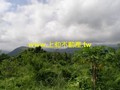 B0167壽豐建地-