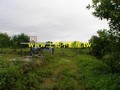 F0348壽豐農地-