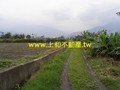 F0354吉安農地-