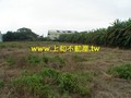 F0358吉安農地-