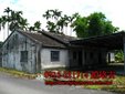 鳳林建地-花蓮鳳林鎮