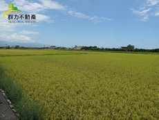本月之星