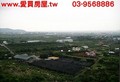 員山山頂望海美地-可觀海景