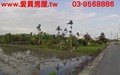 ~正~廣興國小旁農地-