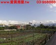 義成一段農建地-