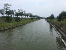 本月之星