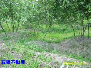 員山同樂段-