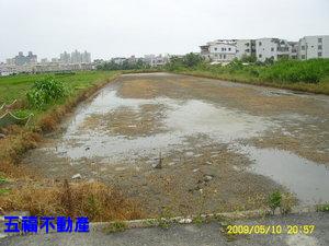 金山段農地-