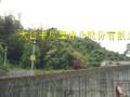 南投酒廠農建地-適建休閒木屋地勢平坦