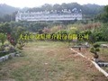 草屯南開前優質農地-蓋三層樓農舍人見人愛